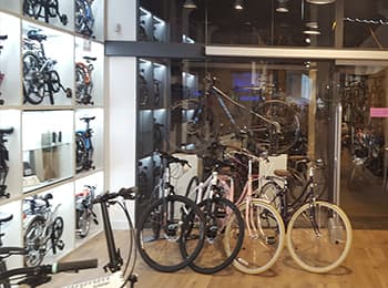 diseño tienda diseño tienda